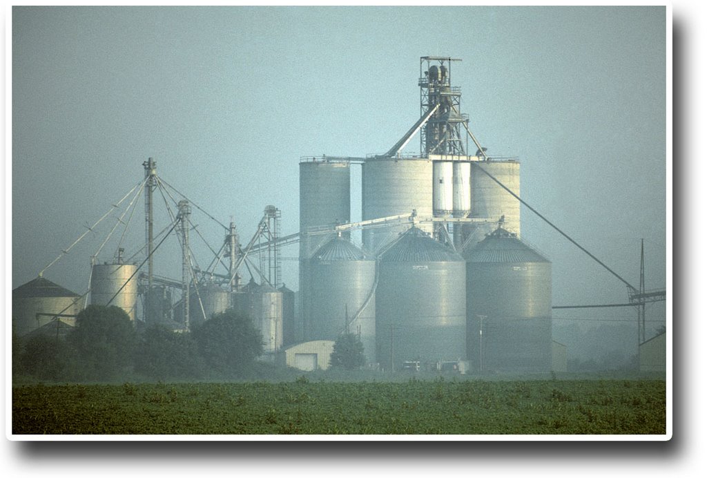 Summer morning haze - 199007LJW
