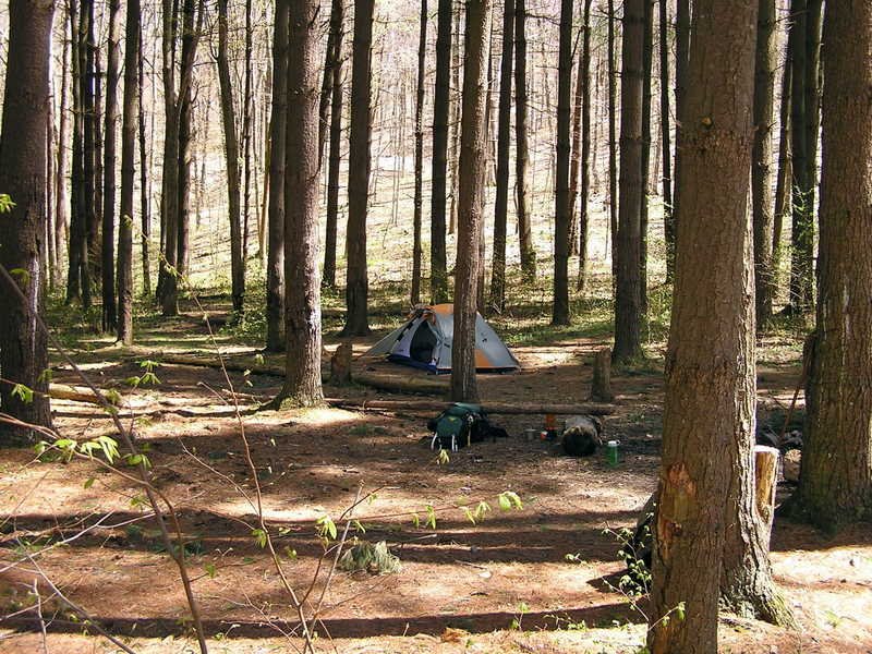 Charles C Deam Wilderness Camp Site
