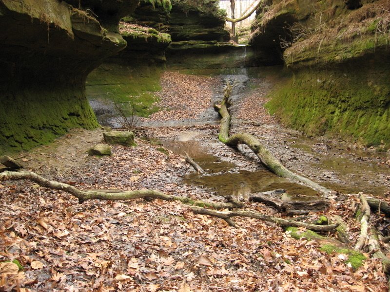 Devils Punch Bowl