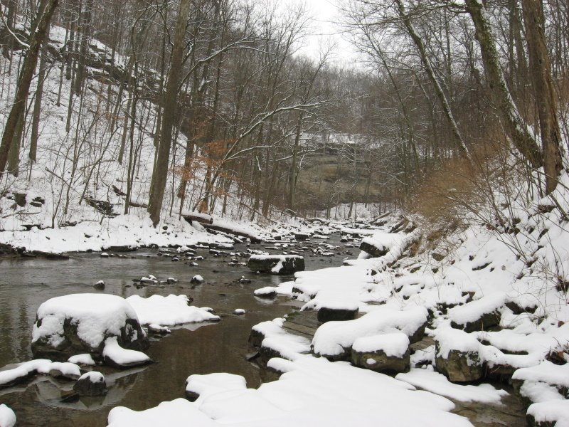 McCormicks Creek Canyon