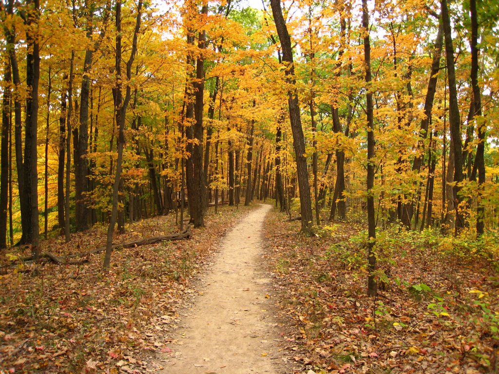 Brown County State Park