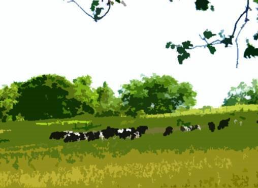 Traders Point Farm 2005