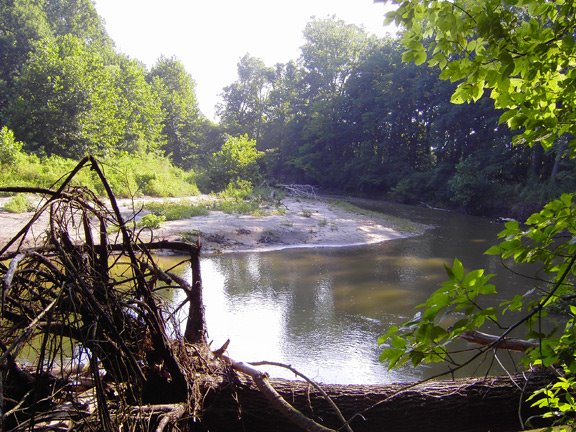 Creek at Traders Point