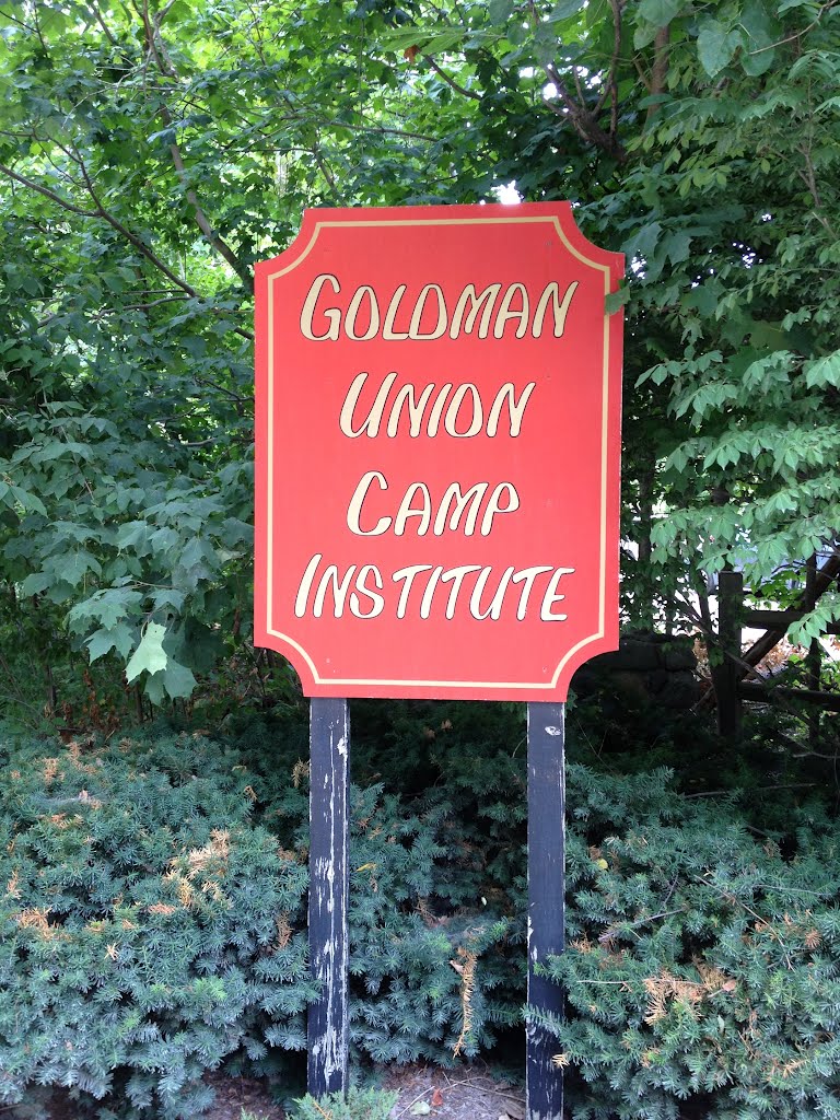 Goldman Union Camp Institute