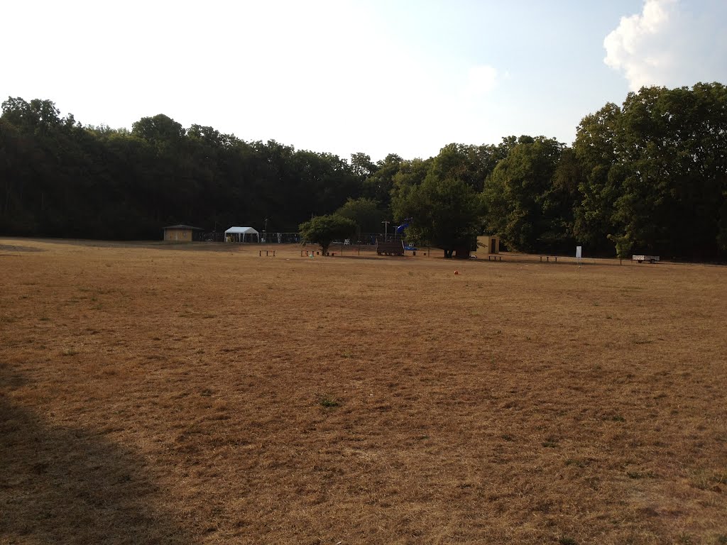 Sports field.