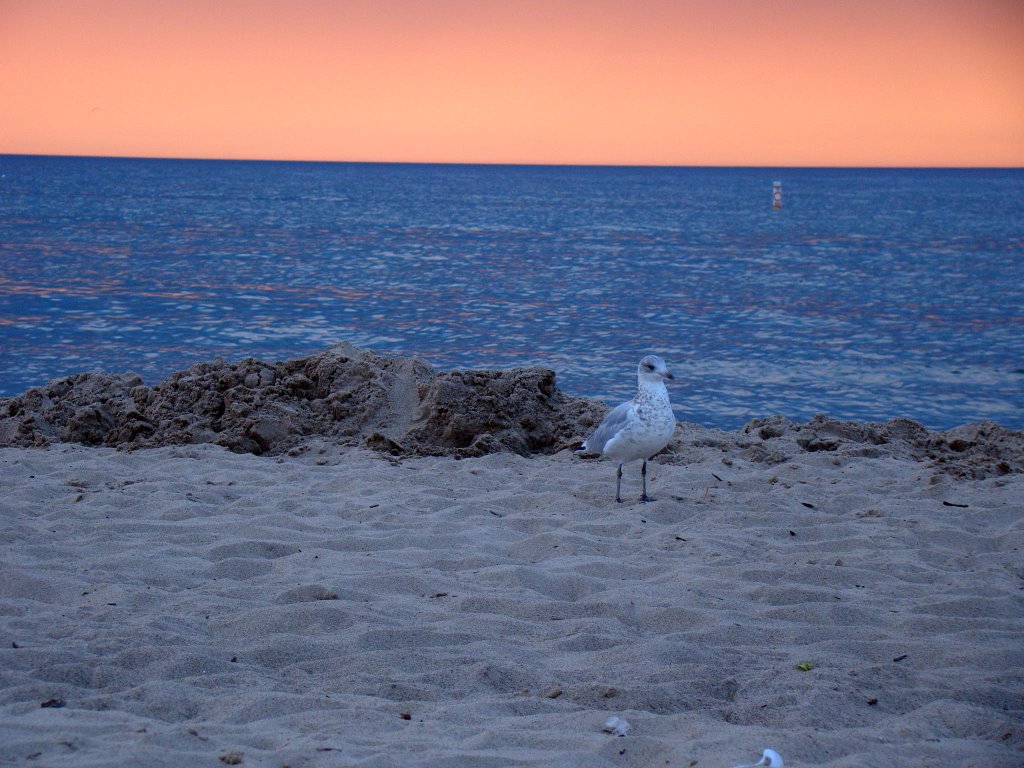DSC06739 Long Beach -  N view
