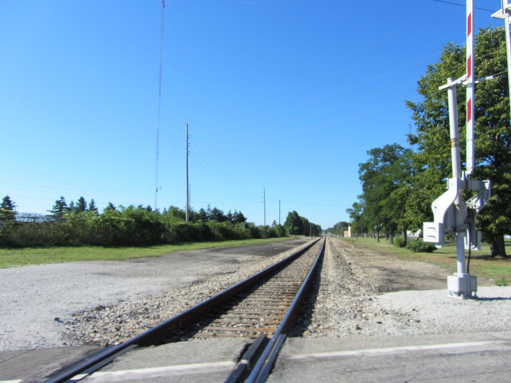 Amtrak Wolverine Line