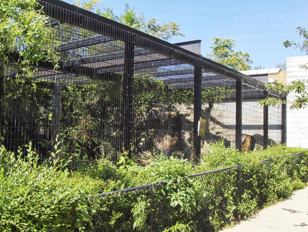 Washington Park Zoo, GLCT