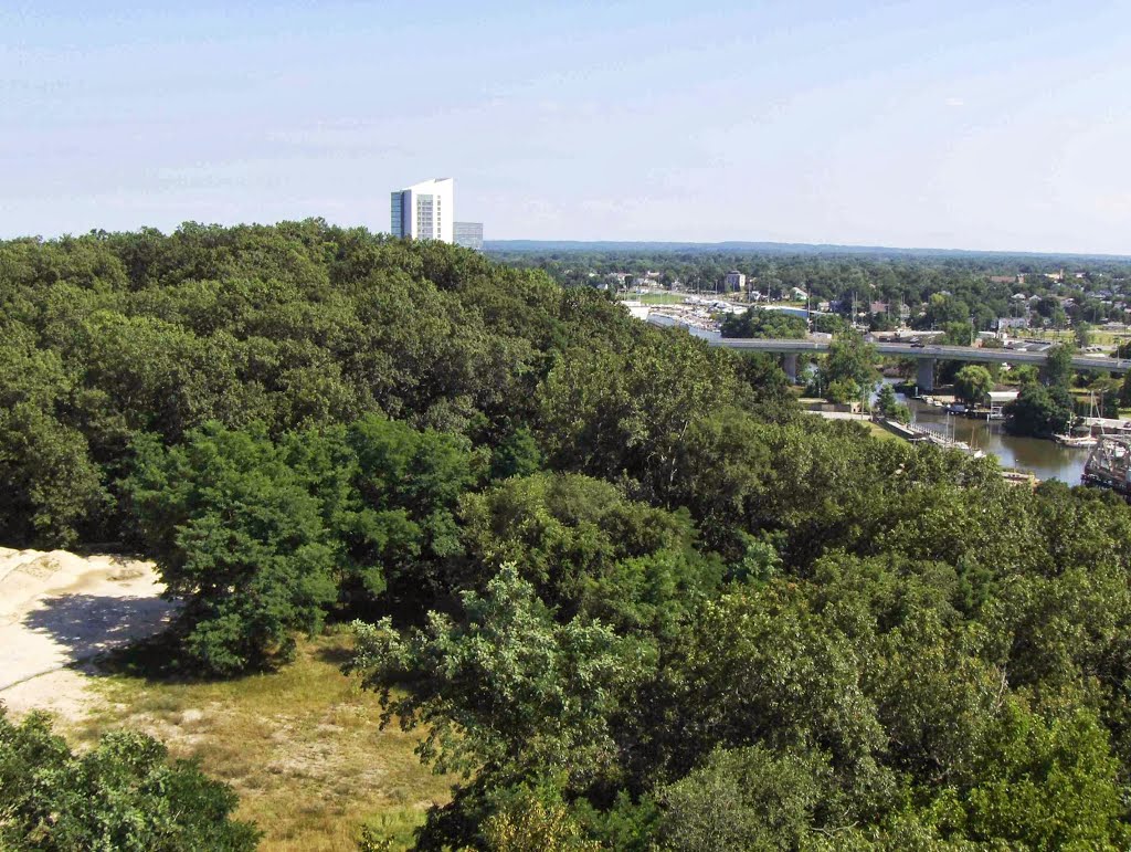 From Washington Park Zoo Observation Tower, GLCT