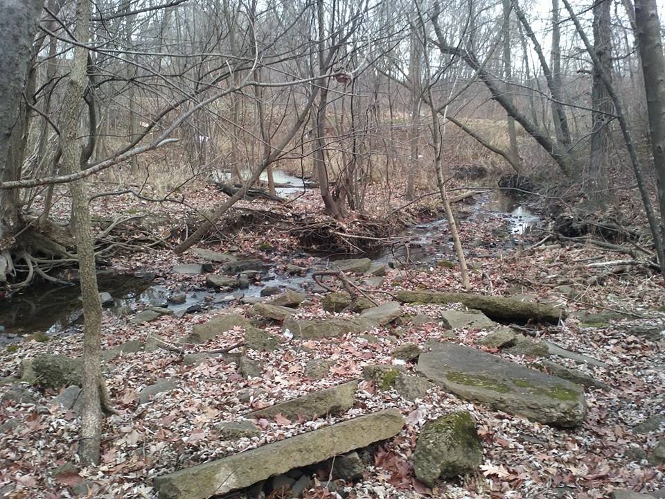 Behind Cressmore