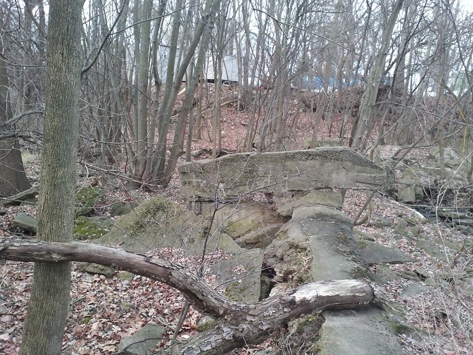 Behind Cressmoor