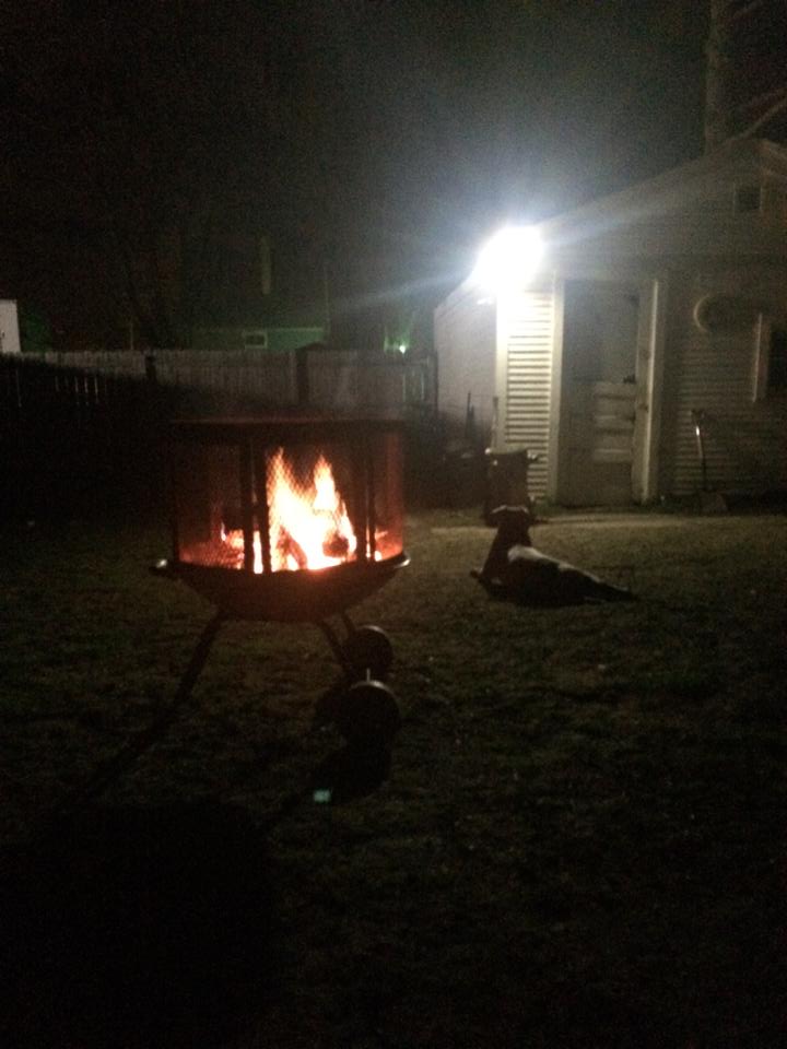 Fire with the Dogs