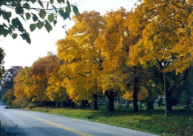 Crown Hill