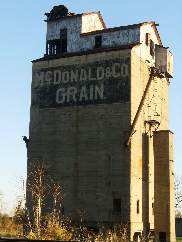 Mc Donald & Co. Grain