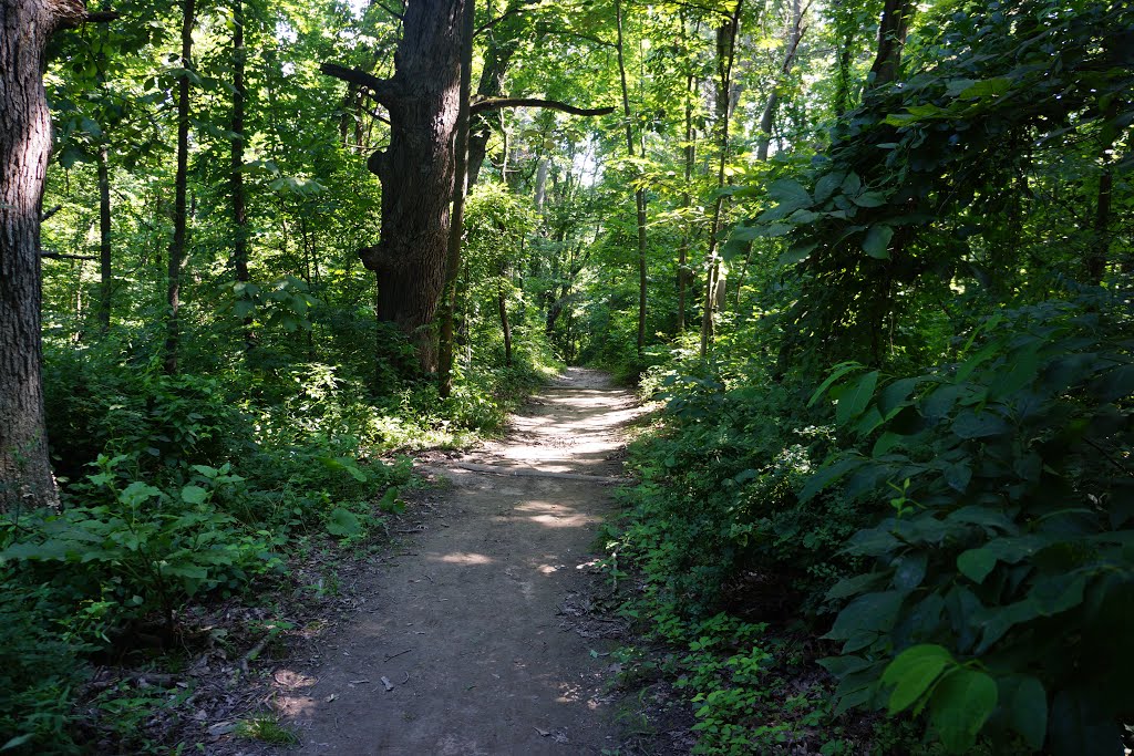 INDIANA DUNES