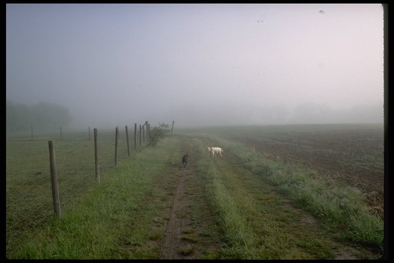 Chellberg Farm Pasture