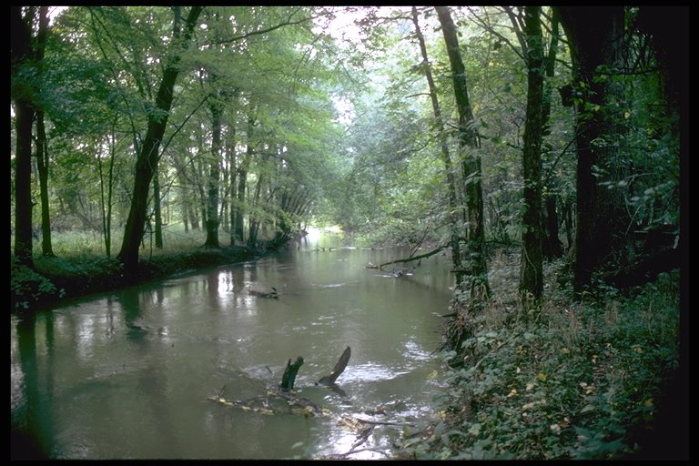 Little Calumet River
