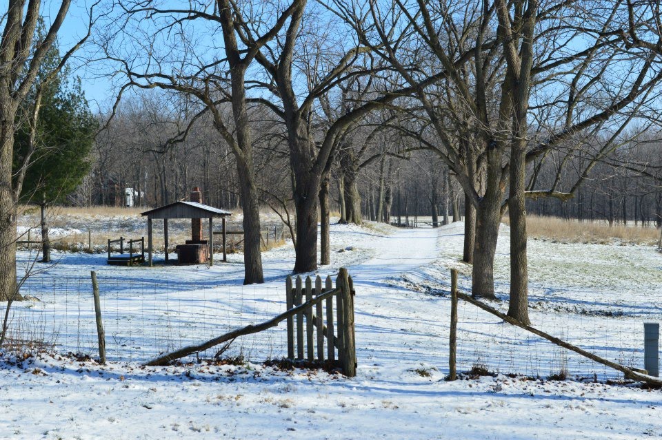 Chelburg Farm