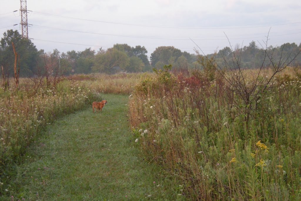 Mnoke Prairie