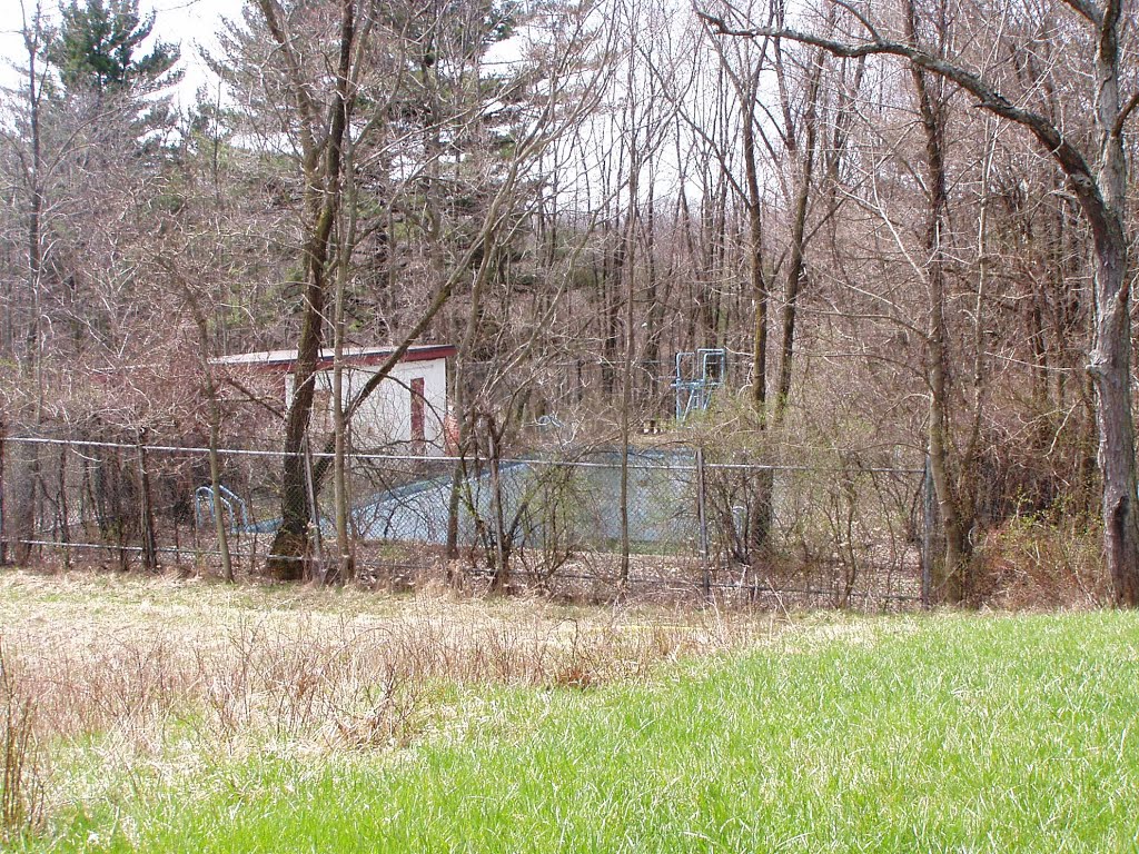 Abandoned Swimming Pool