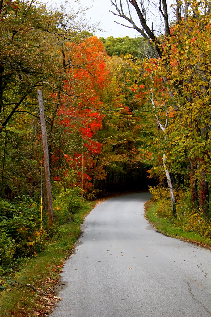 Indiana Country Road