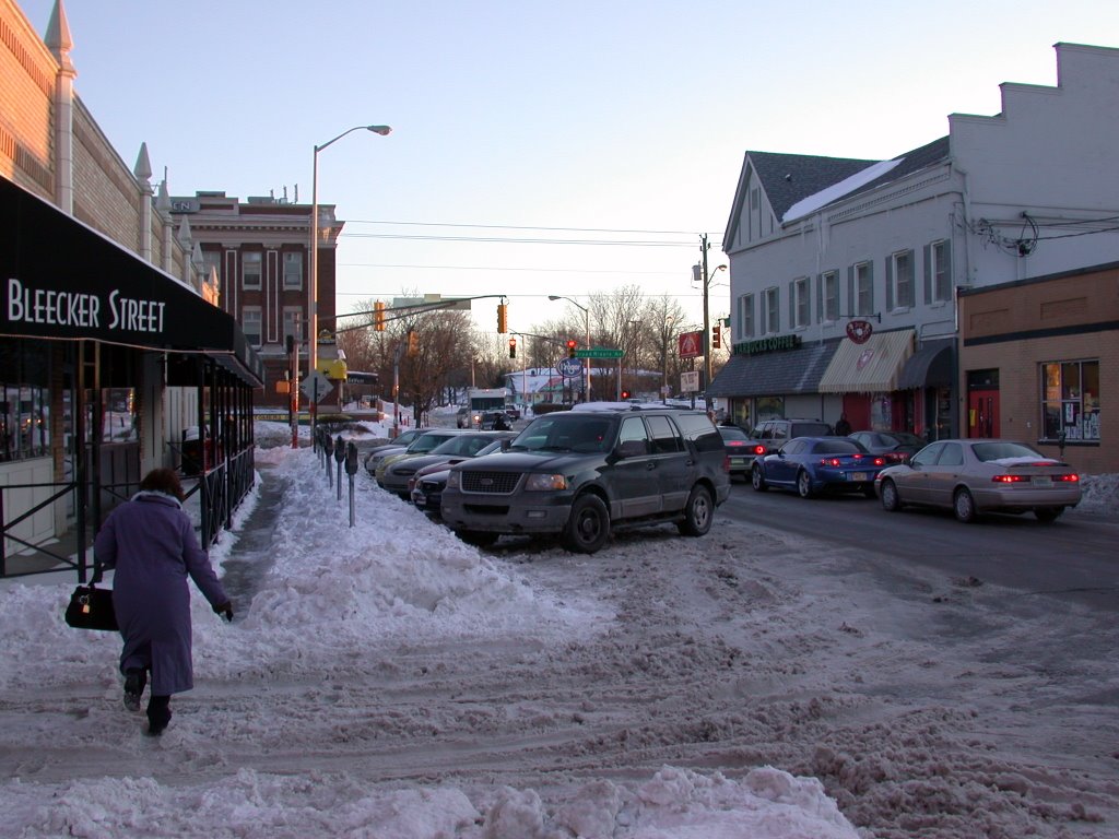 after the snow feb 07 broadripple