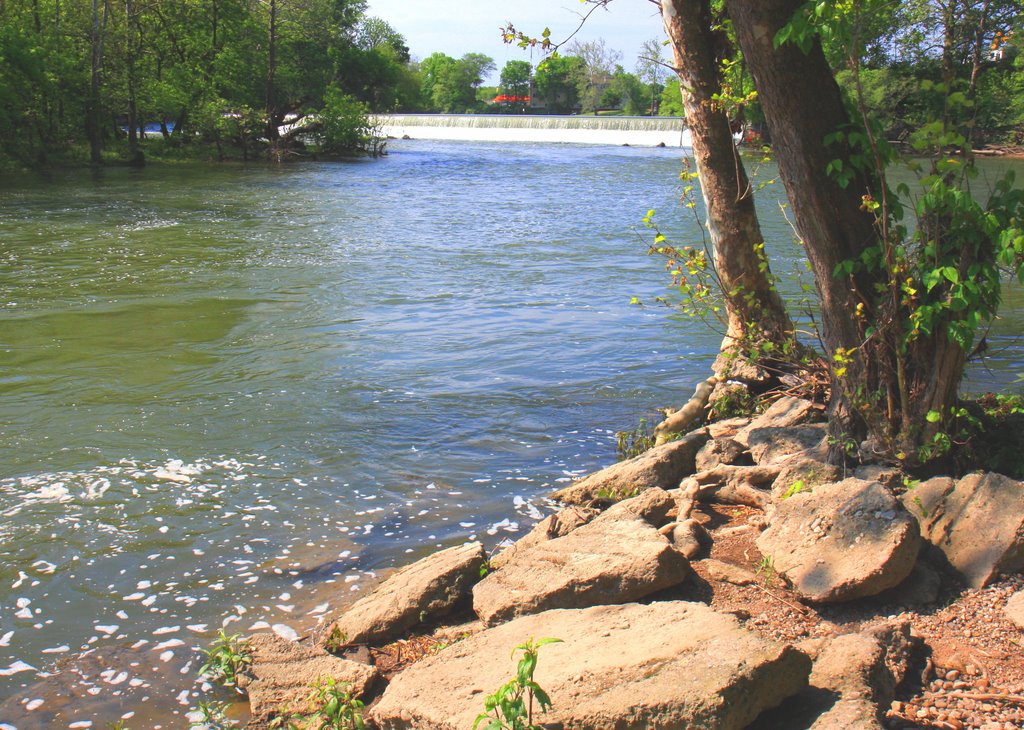 Broad Ripple (below the dam)