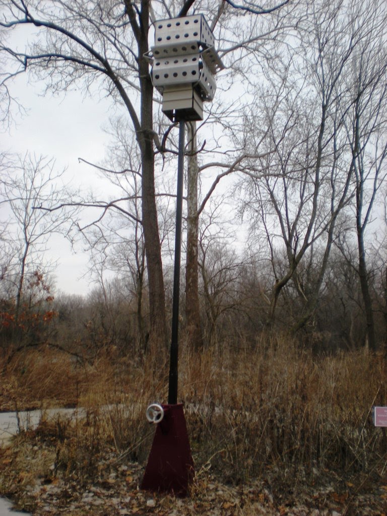 Dawnsong by Brose Partington (2008)