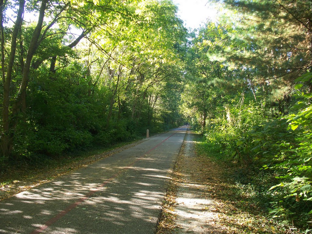 Monon Trail 3