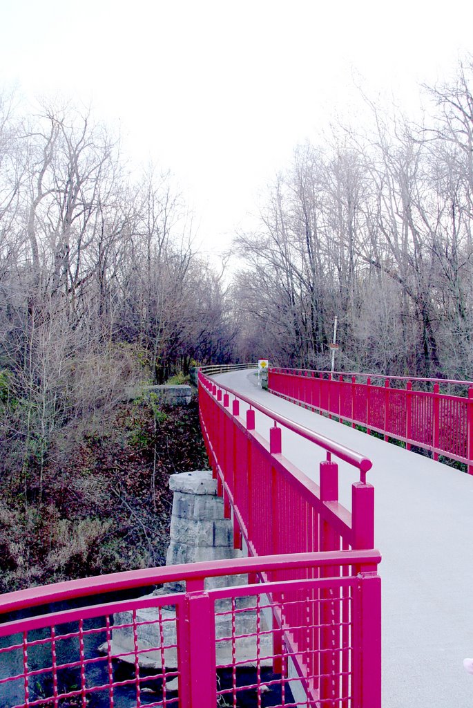 On the Monon Trail bridge over Williams Creek