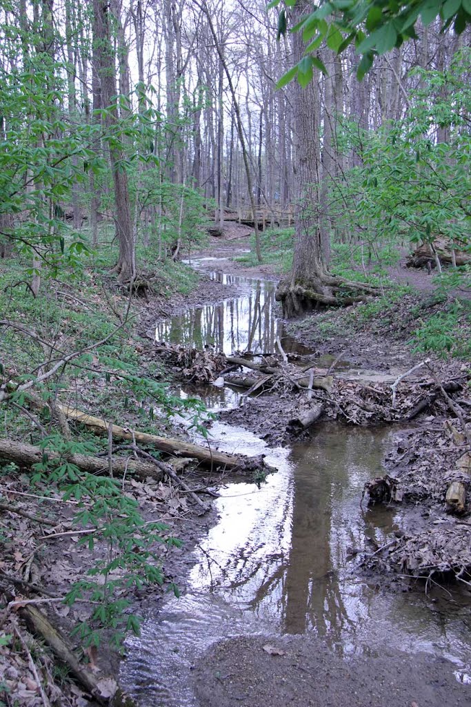 Marott Park