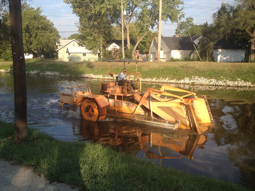 Canal cleaning