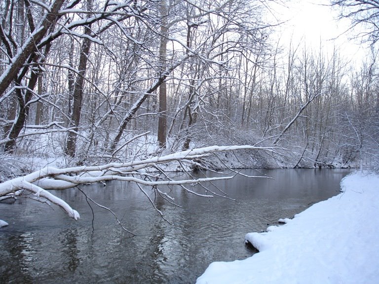 Williams Creek Winter 2007