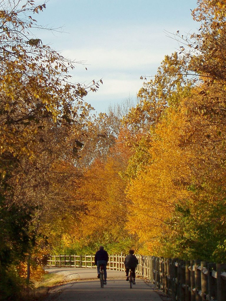 Bikes on the Cardinal Greenway