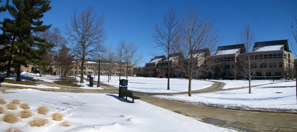 DeBartolo Building