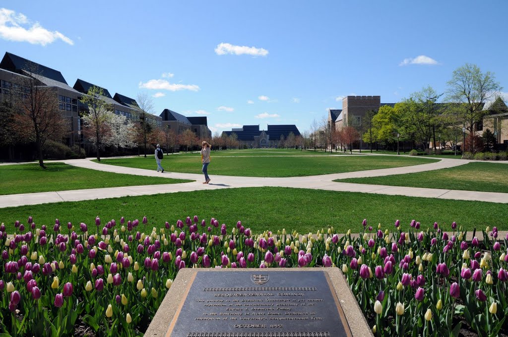 Debartolo Quad