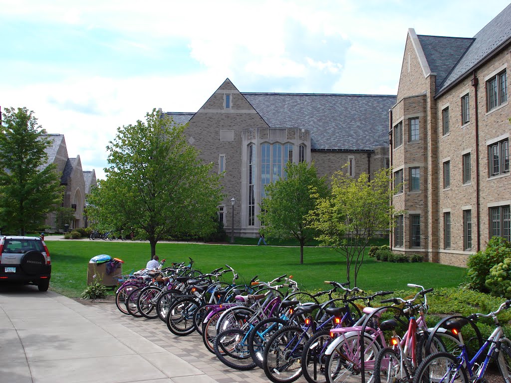 Hammes BookStore move in day