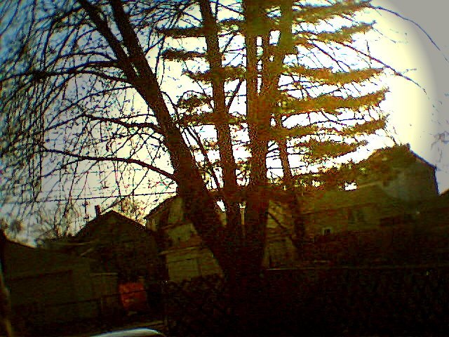 warm afternoon in March