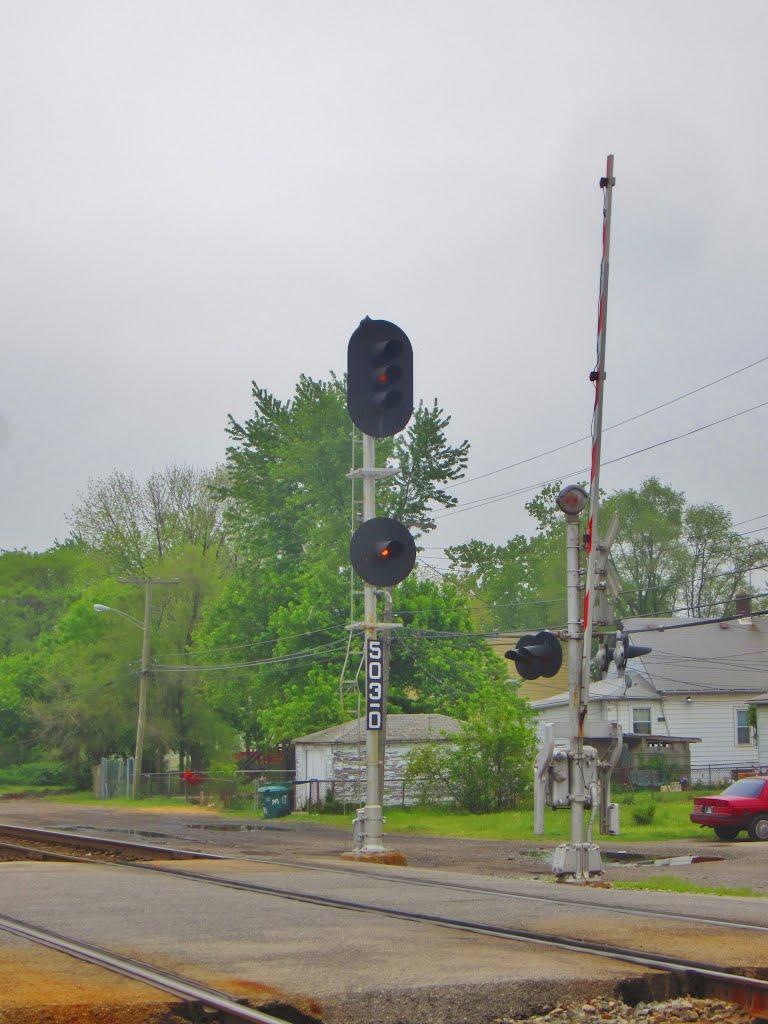 Type D Signals