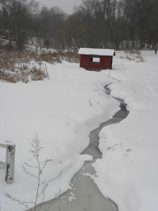 Creek de la Moy