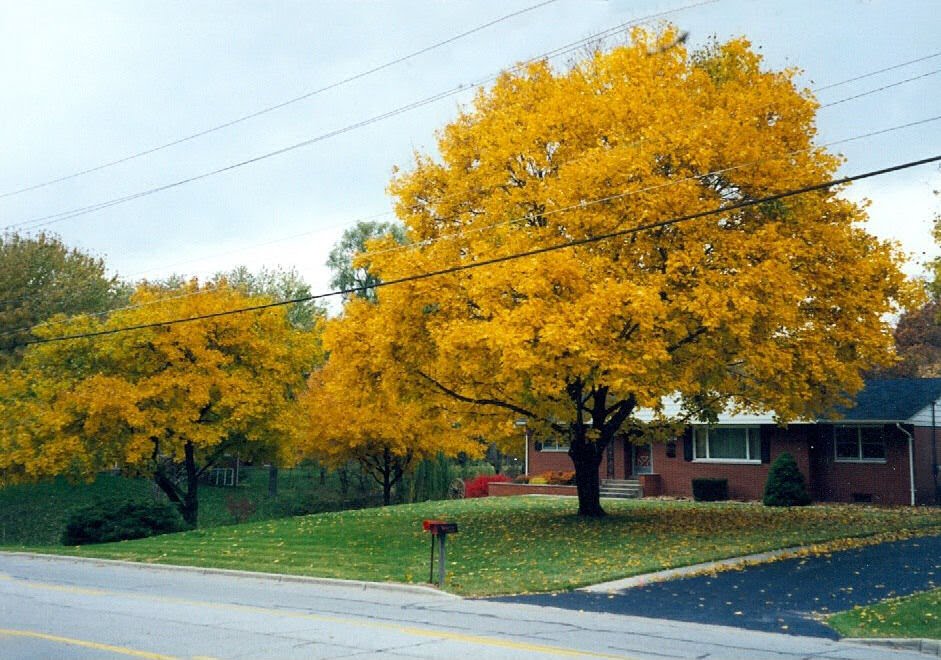 10th Street