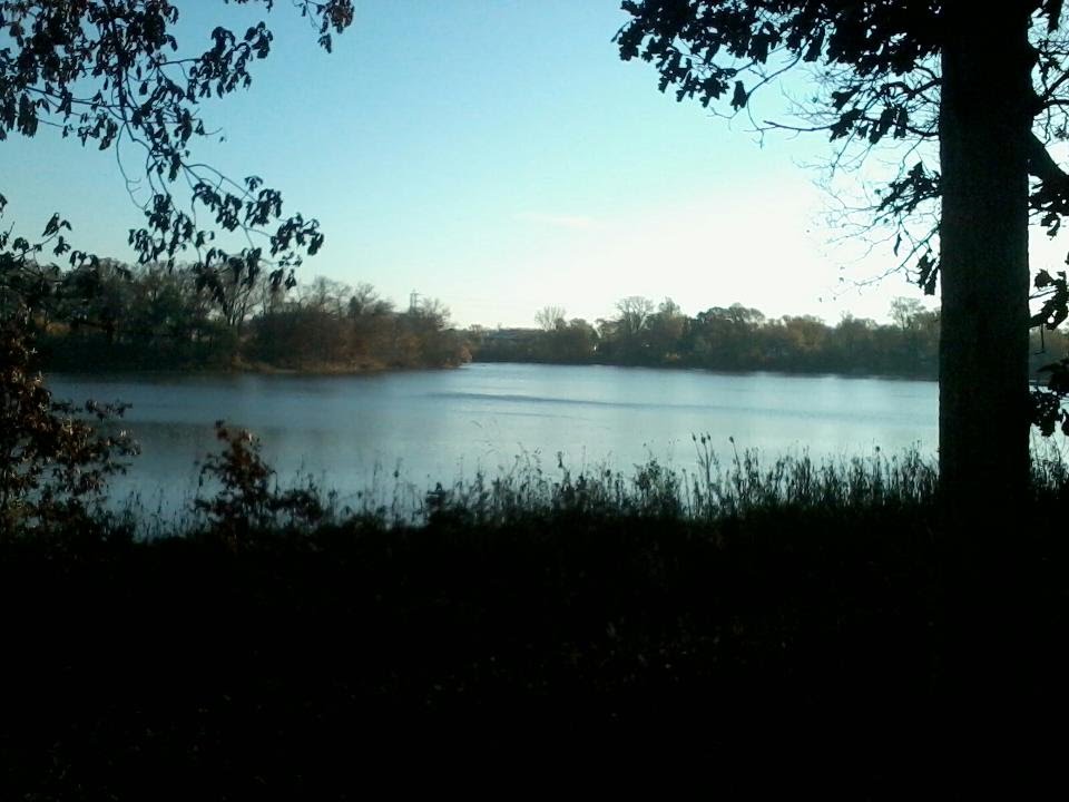 Fred Rose Park