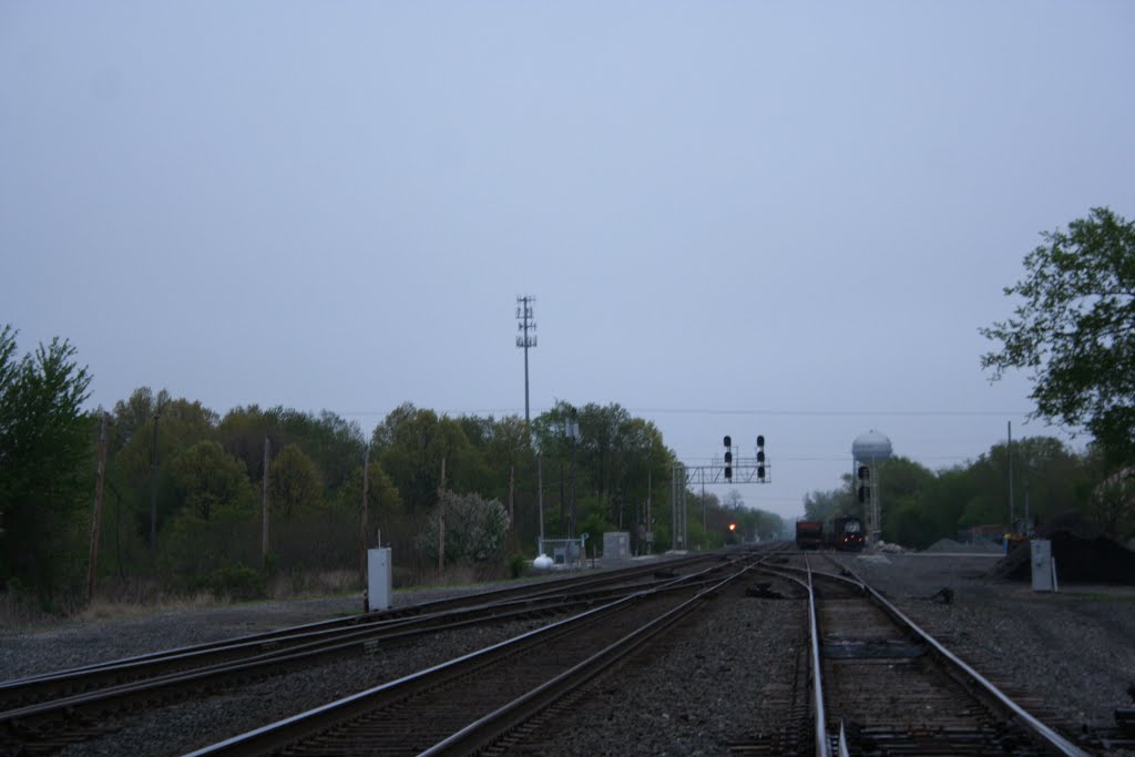 Looking North