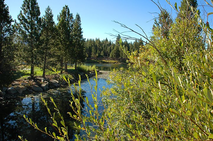 Tahoe Keys, South Lake Tahoe, CA 96150