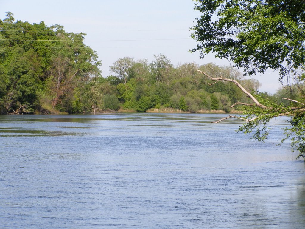 American River