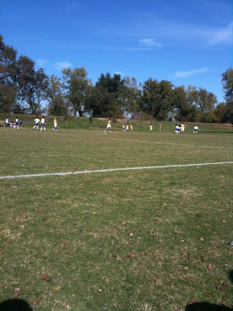 Larchmont Park