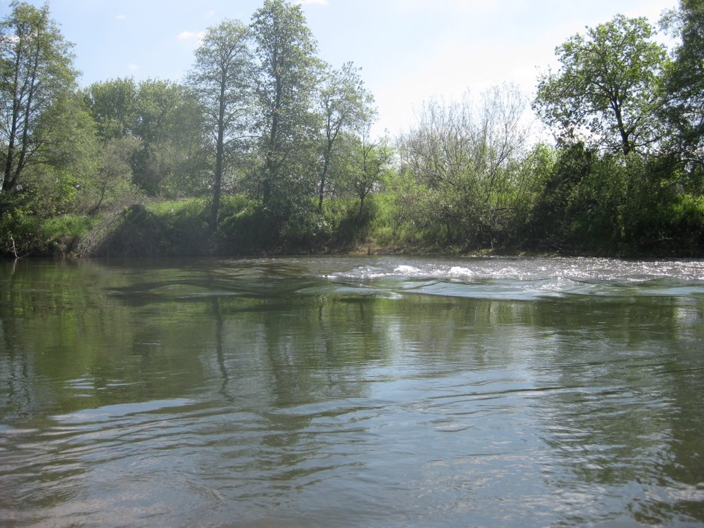 Rio Rapids