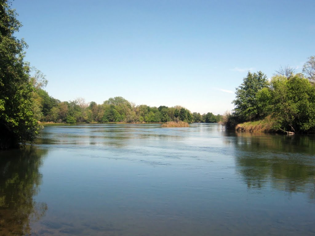 American River Sacramento