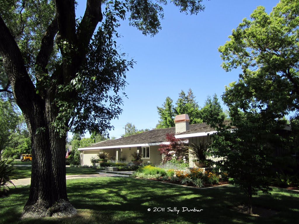 Shady trees, expansive lawns, and traditional homes make up Arden Park in Sacramento, CA