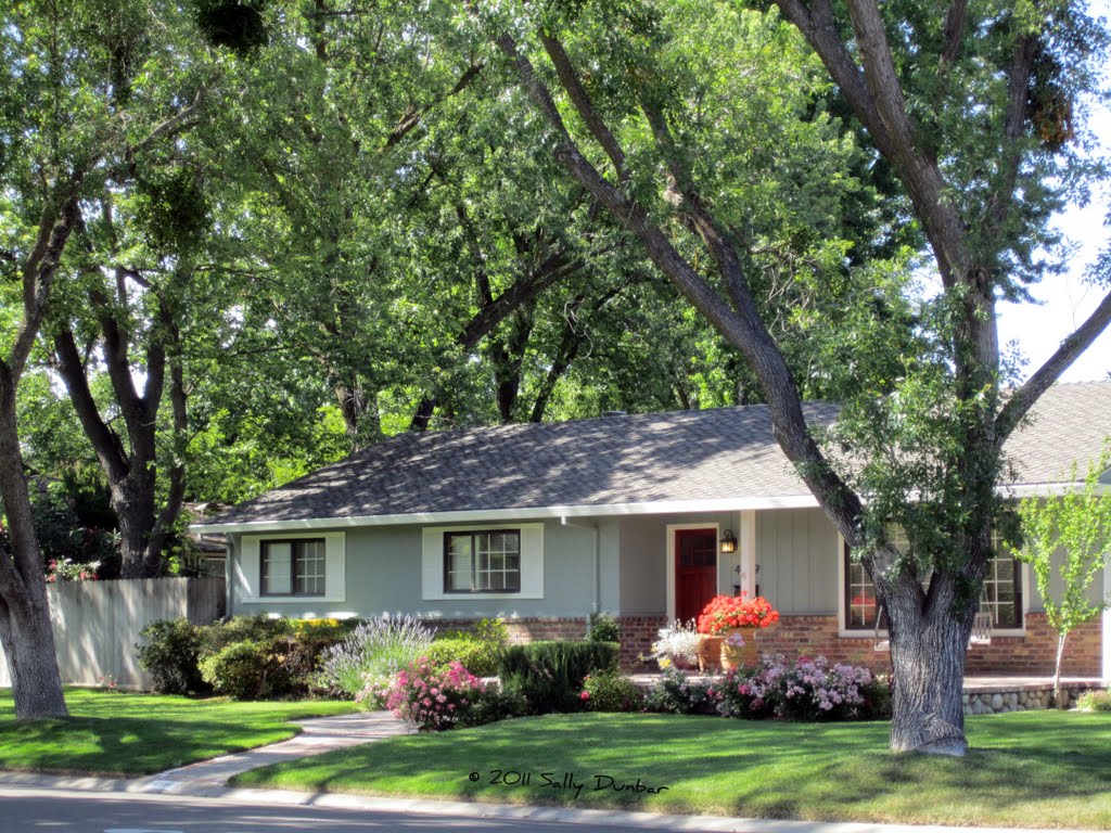 Its amazing how a few colorful pots of flowers can jazz up a home, like this one in Arden Park, Sacramento, CA